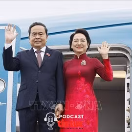 Tin nóng trong nước ngày 6/9/2026