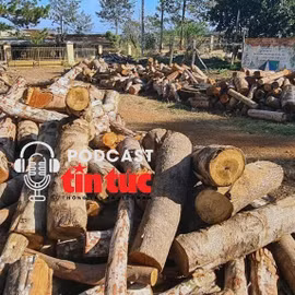 Tin nóng trong nước nghe nhanh sáng 7/2