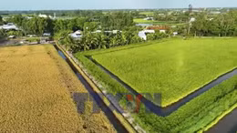 Net Zero - Ngành Nông nghiệp tái cấu trúc ngành hàng theo hướng xanh
