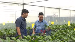 Đẩy mạnh chuyển đổi số, hỗ trợ nông dân ứng dụng công nghệ vào sản xuất