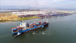Thành tựu phát triển kinh tế và ngoại giao của Việt Nam năm 2024