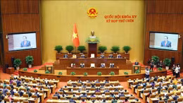 Đại biểu Quốc hội kỳ vọng lớn vào kỳ họp lịch sử - đột phá về thể chế 