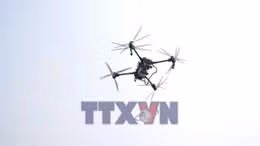 Điện Biên được lựa chọn thí điểm phát triển kinh tế tầm thấp