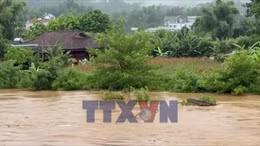 Trạm tin số sáng ngày 27/6/2026
