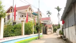 Khi người trẻ là Trưởng thôn