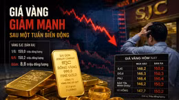Điều gì đang xảy ra với thị trường vàng?
